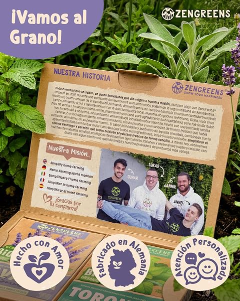 ZenGreens® - Set de semillas de hierbas medicinales y para infusiones eco - 10 variedades para cultivar fácilmente en el jardín, balcón o parterre elevado - Sementes verduras - 5