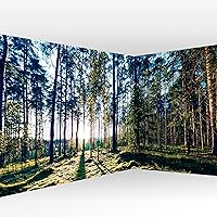 Vista 41 de artgeist Mural de Pared Despegar y Pegar Bosque 212x98 pulgadas - Papel Tapiz Autoadhesivo XXL de Esquina Removible Gran Pegatina Lámina Papel Tapiz