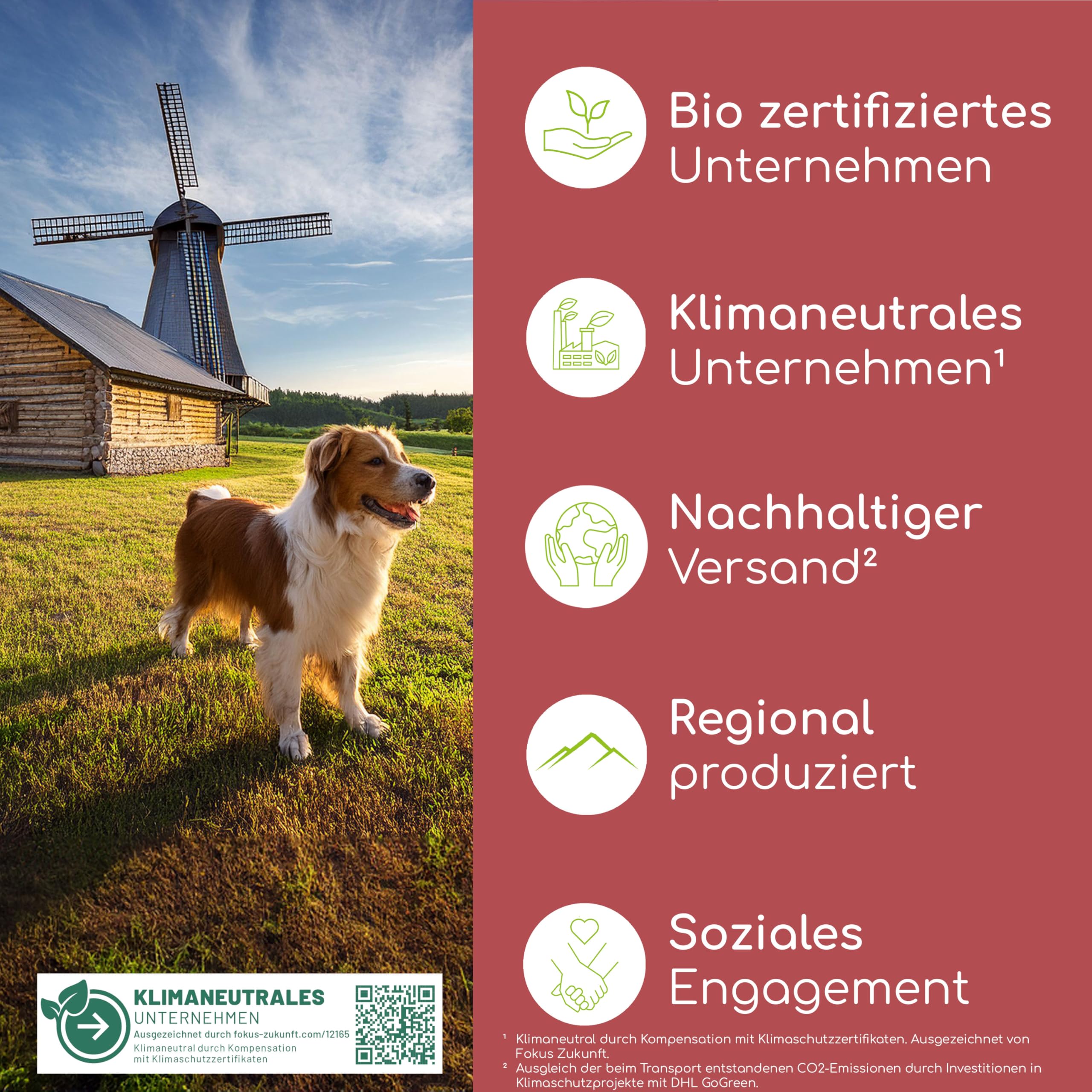 Futteröl für Hunde 1 Liter – 100% Bio Barföl - Natürlich und Vegan - Aus Leinöl, Nachtkerzenöl, Olivenöl, Kürbiskernöl, Chiaöl - Mit Omega 3-6-9, DE-ÖKO-060
