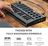 Akai Professional MPK Mini MK3 25 Key USB MIDI Keyboard Controller With 8 Backlit Drum Pads, 8 Knobs, Music Production Software and Native Instruments Sound Package (NKS Integration), Destroyer Grey