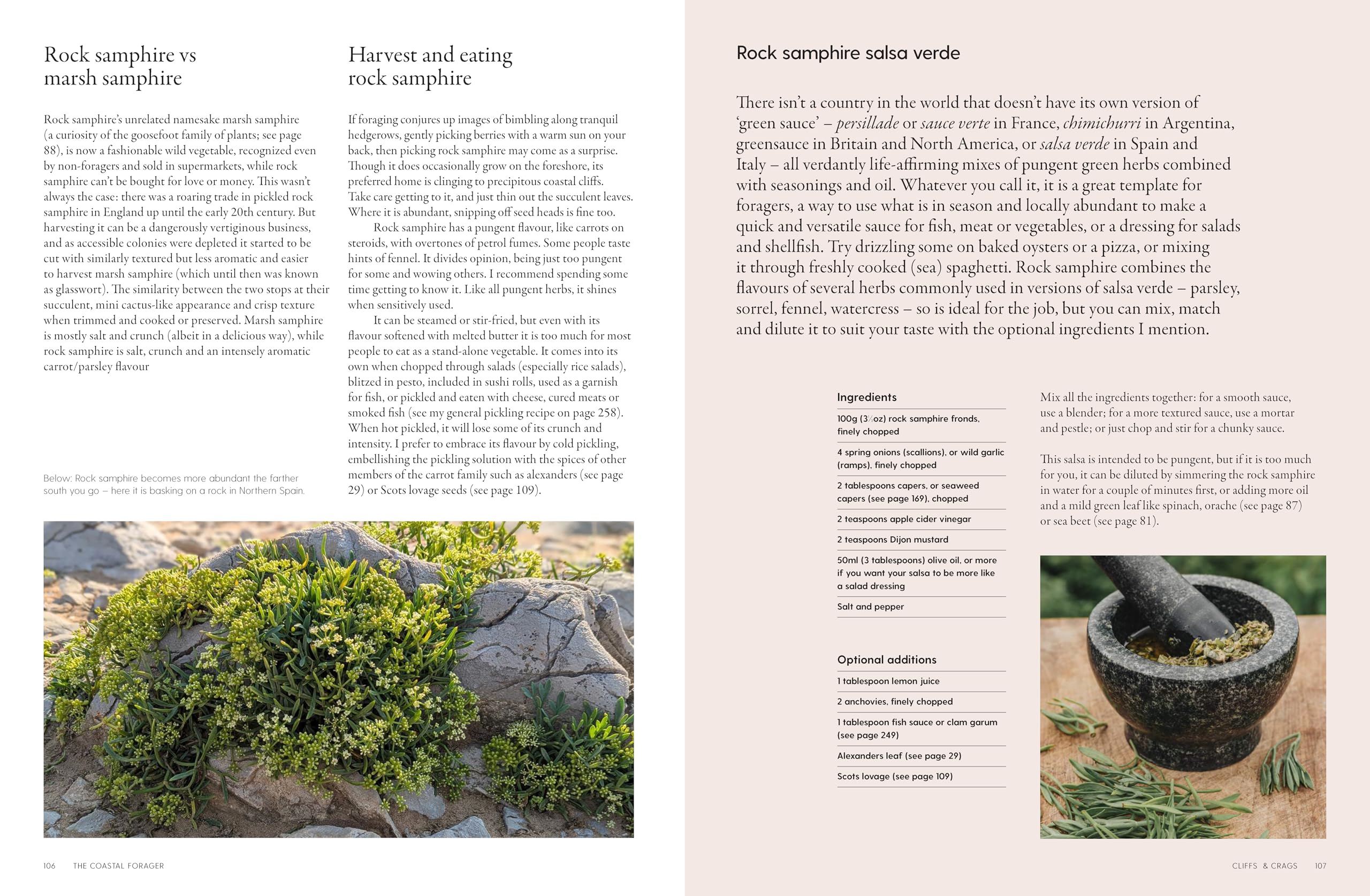 The Coastal Forager: Wild maritime food to preserve, cook, eat