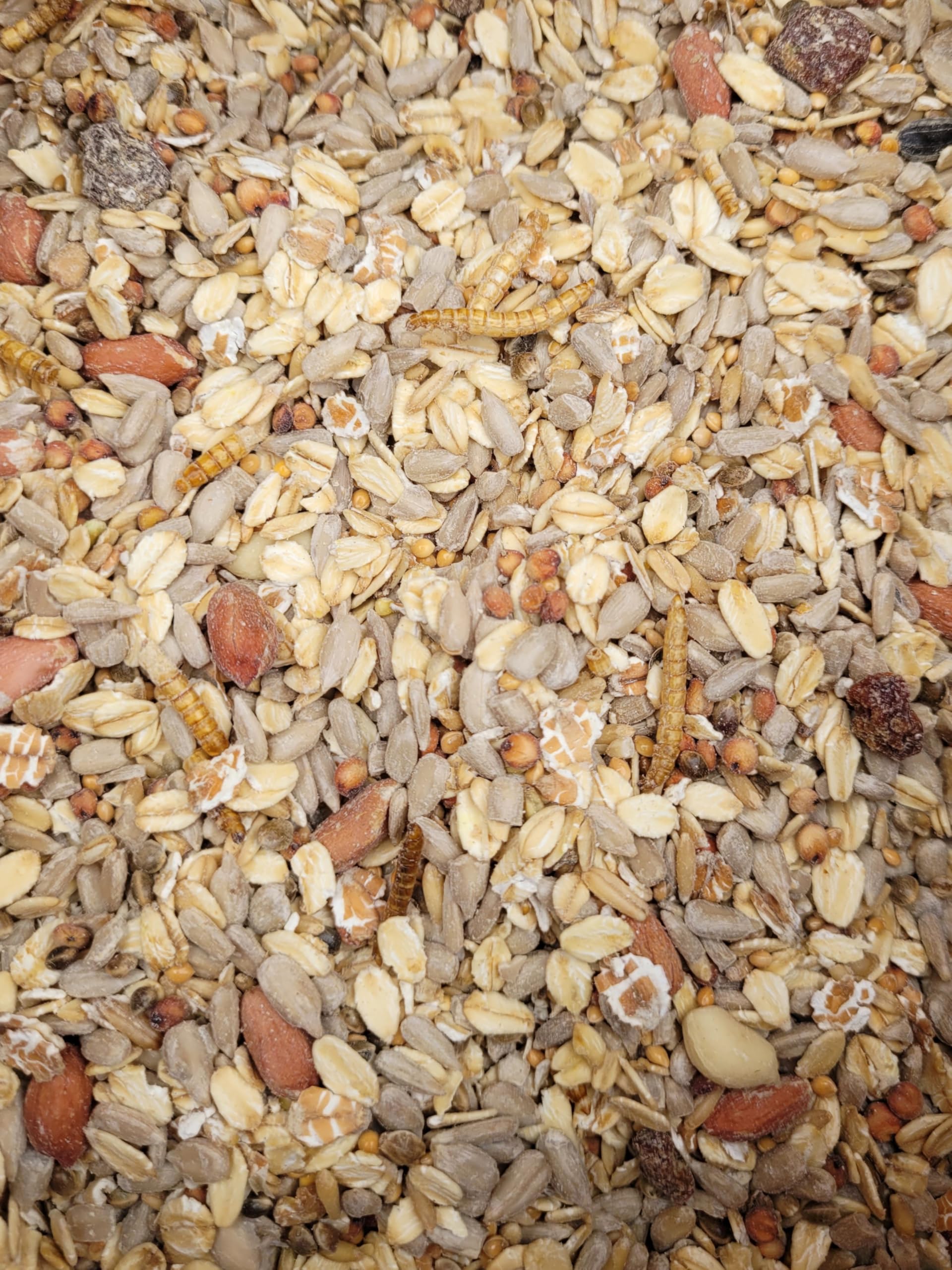 Terrassen-Mix exklusiv, Ganzjahresfutter für freilebende Vögel, hoher Flockenanteil, mit getrockneten Mehlwürmern, für alle Gartenvögel und Wildvögel, 15kg, 1x Sack