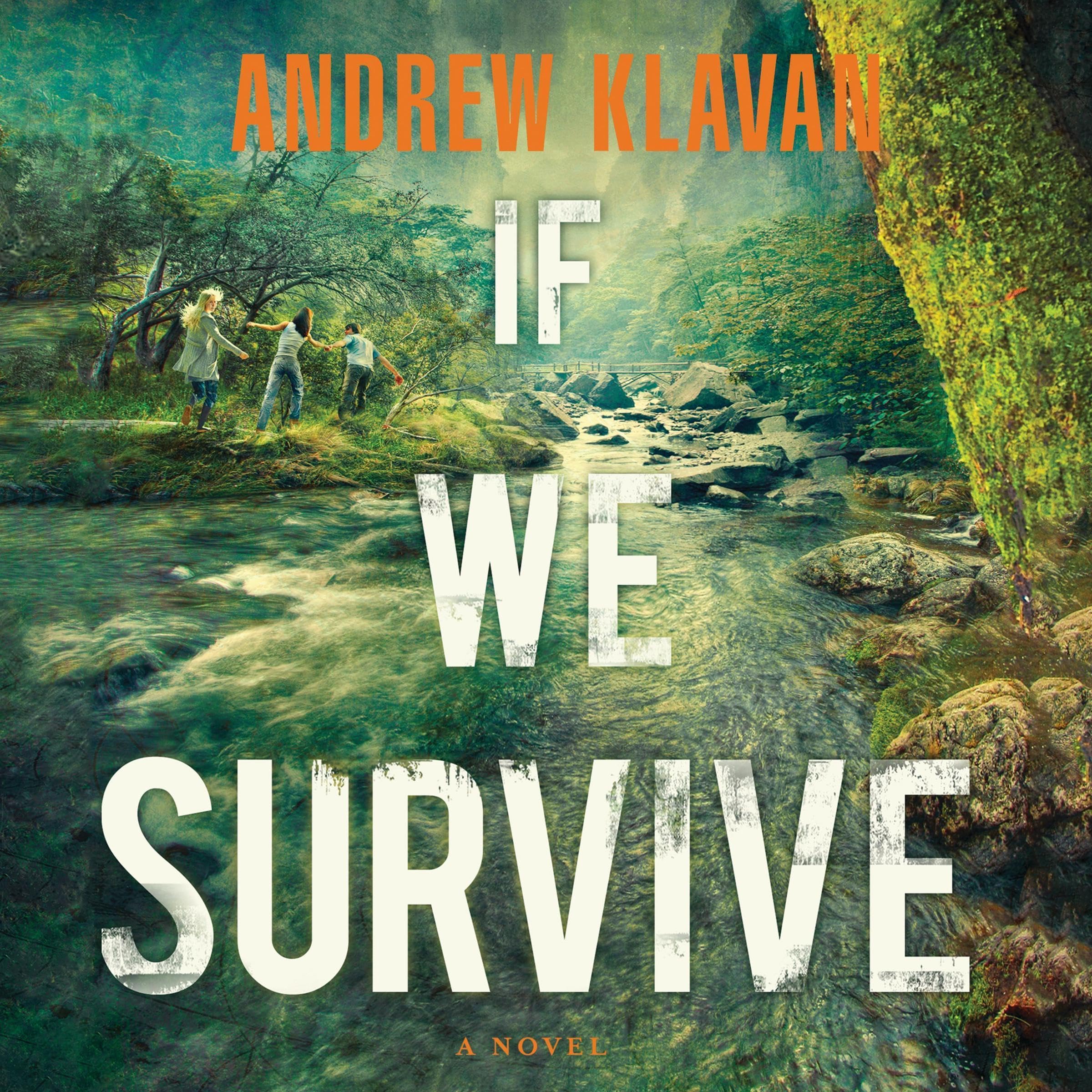 Cover art for If We Survive
