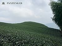 Vista 6 de Té verde de hojas sueltas