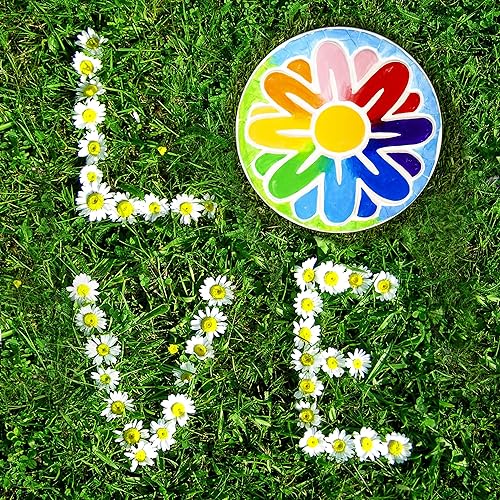 Vista 62 de Creative Roots - Figura decorativa para pintar tu propio erizo de camino de piedra de Horizon Group USA Toy