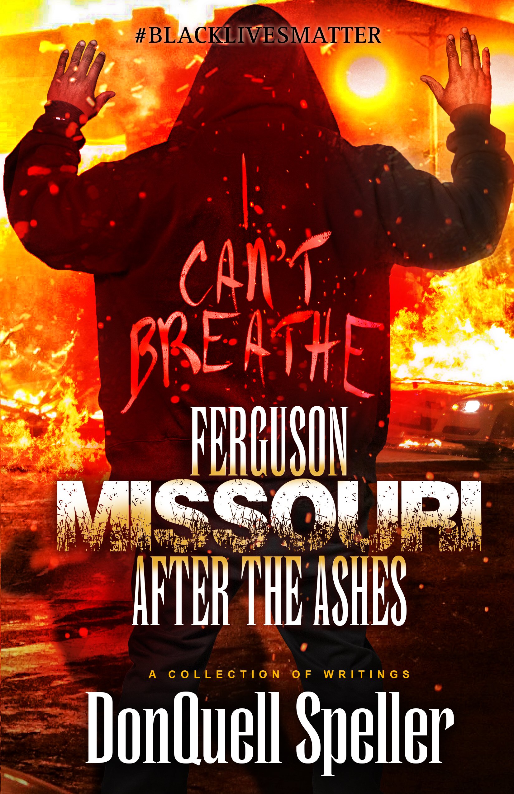 Ferguson,Missouri After the Ashes