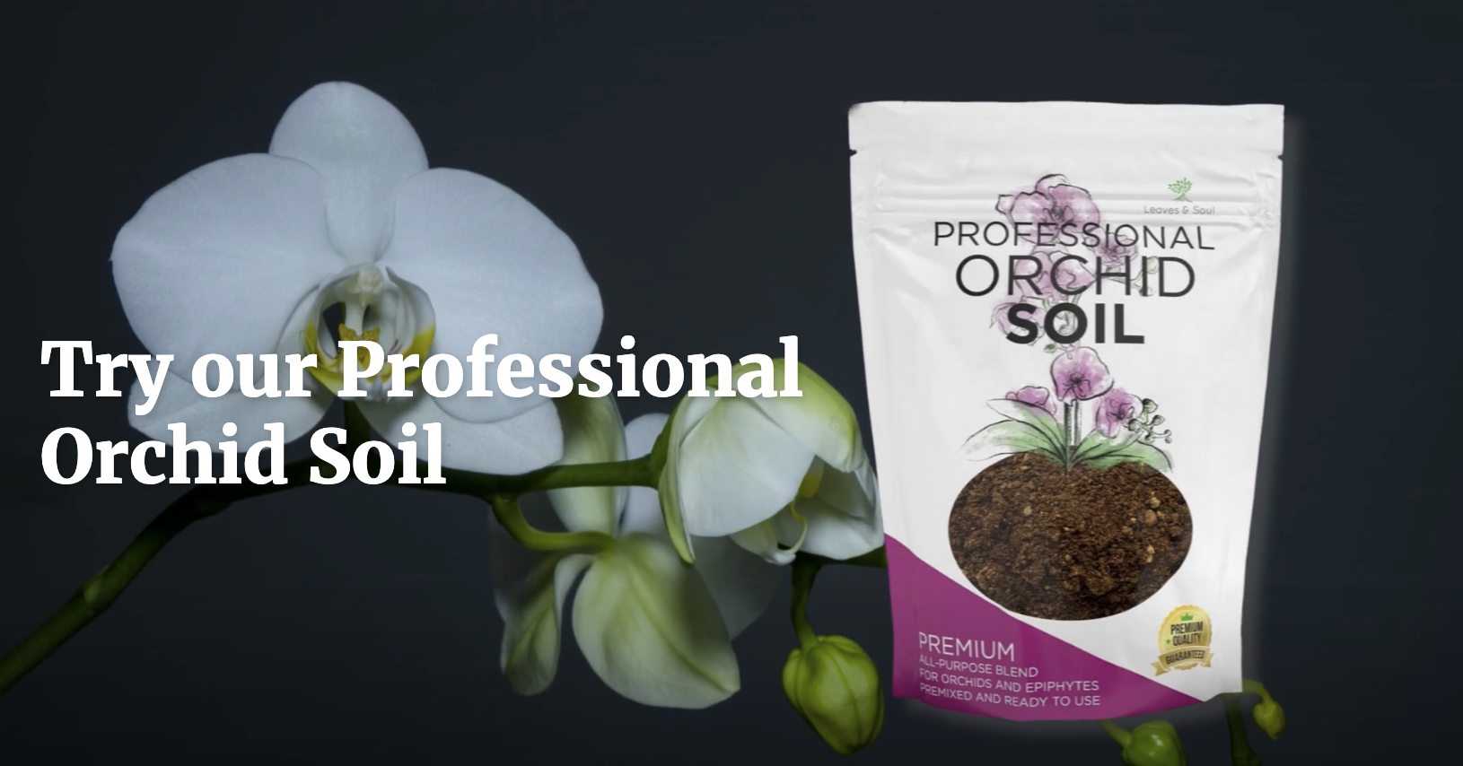 Amazon.com : Orchid Soil Premium All Purpose Blend | Large 2.2