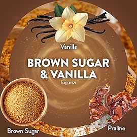 Air Wick Plug In Scented Oil Refill, Infused with Essential Oils, Plug In Air Fresheners for Home, Brown Sugar & Vanilla, 6 ct