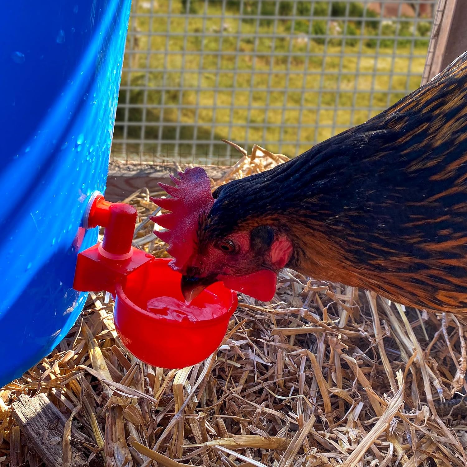 2 Pack Automatic Poultry Waterer Cup Drinker for Chickens Ducks Quail Chicks Ducklings Chooks Bebederos para Gallinas