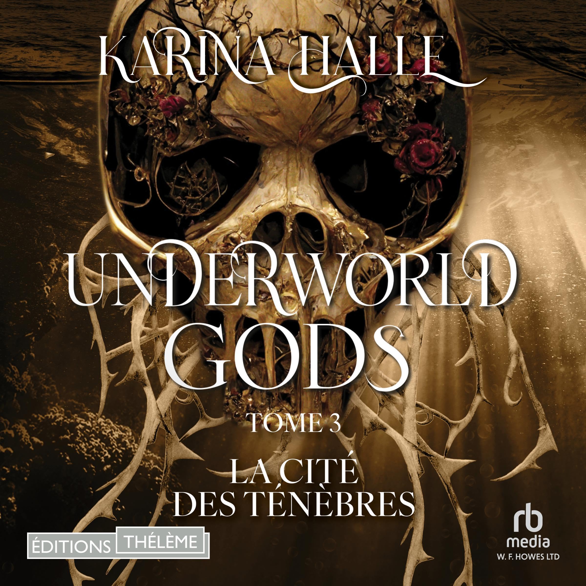 Cover art for La cit&eacute; des t&eacute;n&egrave;bres