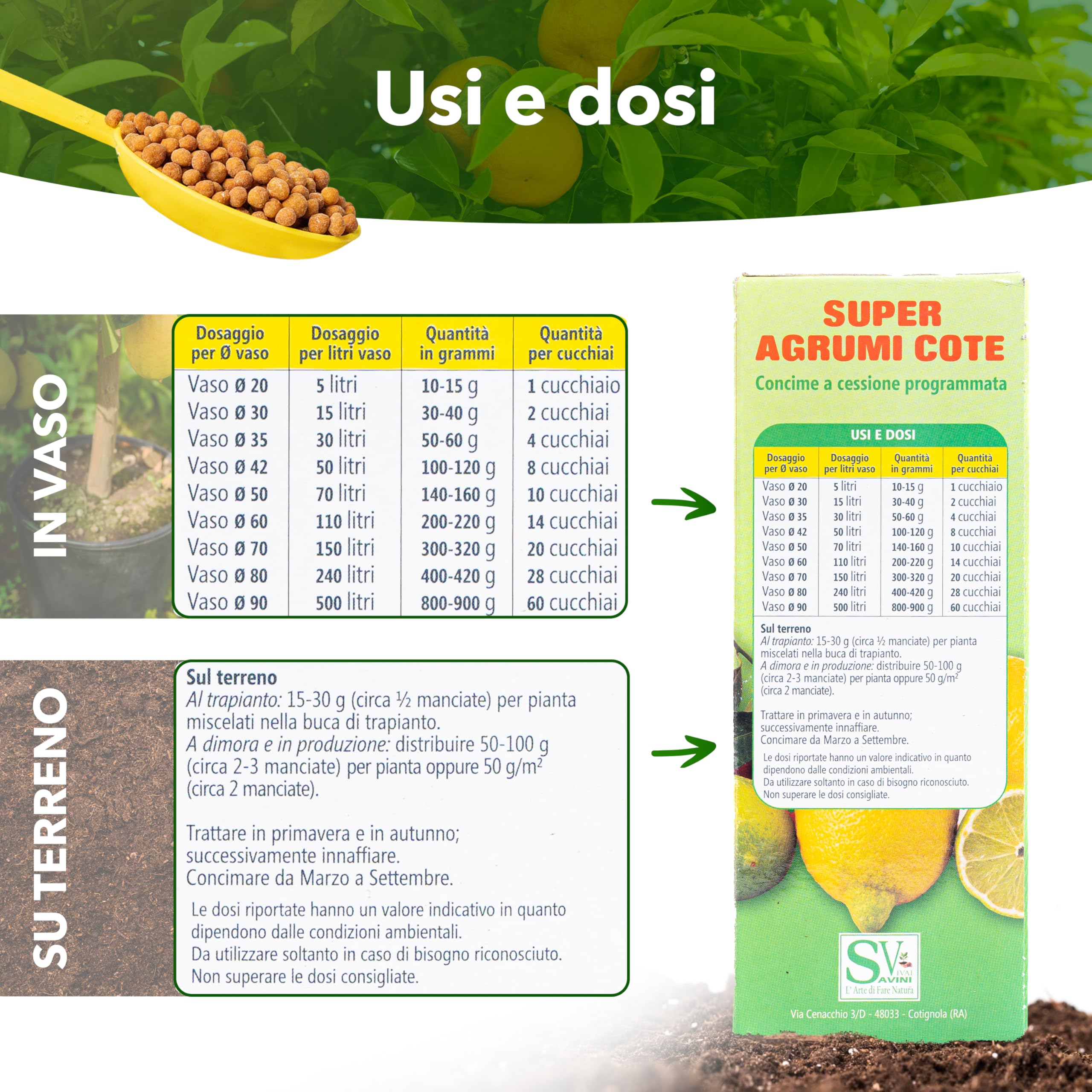 SAVINI VIVAI Engrais agrumes Super Cote, engrais pour toutes plantes à production abondante, comme les citrons, mandarines, oranges en pot et entièrement moulues SUPER COTE AGRUMI 500 GR