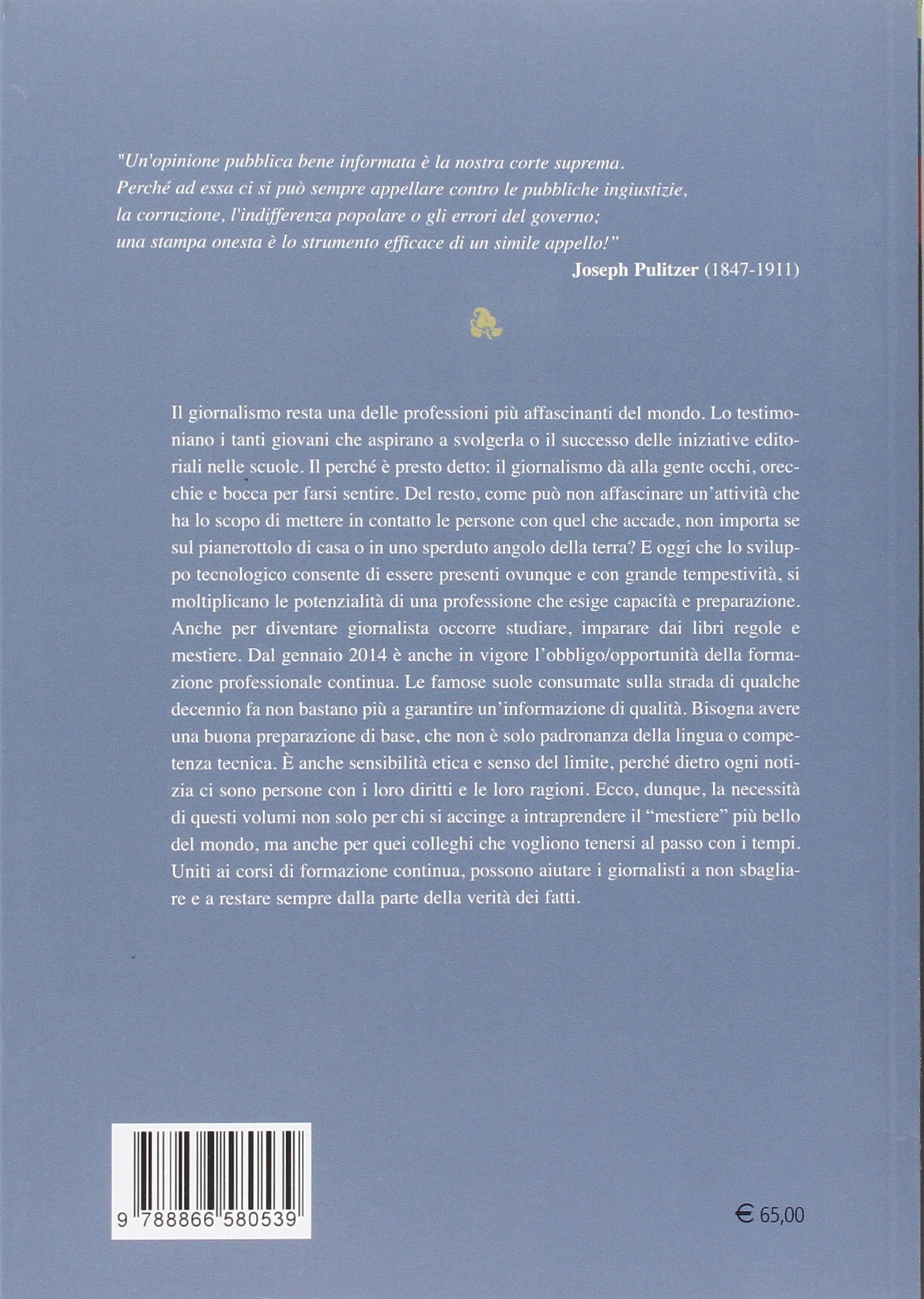La professione del giornalista