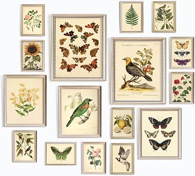 97 Decor LARGE 11x14 Vintage Botanical Wall Art Decor - Plant Posters For Room Aesthetic, Vintage Botanical Prints Nature Floral Pictures Butterfly Bird Art For Home Bedroom Unframed