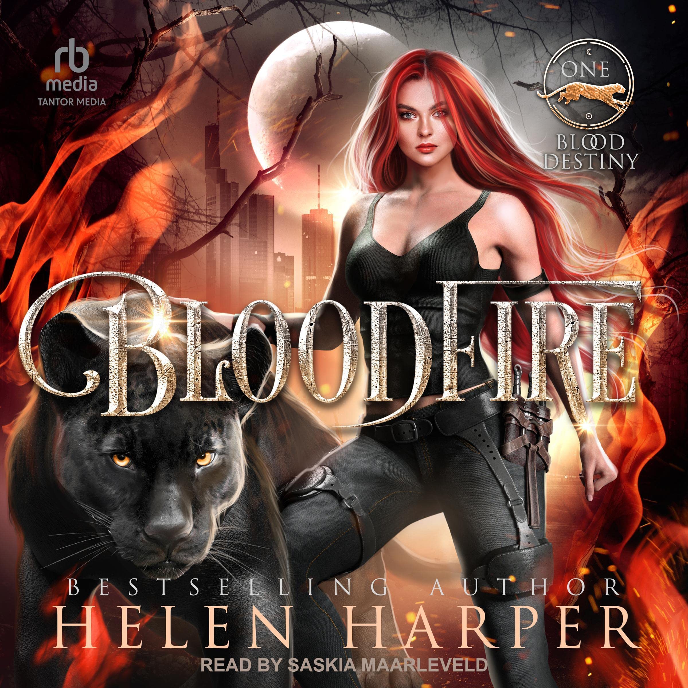Cover art for Bloodfire