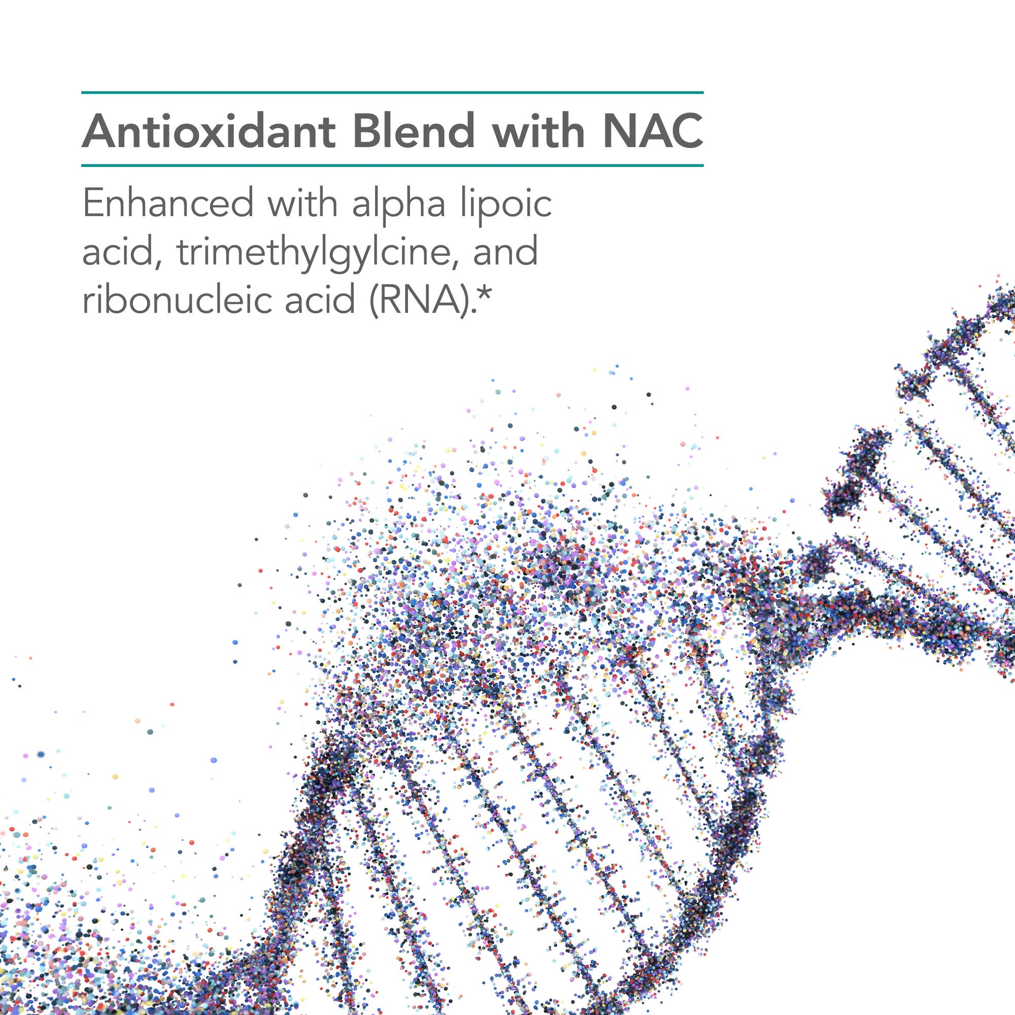 Nutricology Nac Enhanced Supplement N Acetyl L Cysteine Glutathione  Precursor