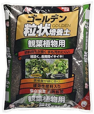 観葉植物の育て方 決定版 コバエが湧かない且つカビ対策におすすめの土 E N G I N E E R L O G 観葉植物の育て方 決定版 コバエが湧かない且つカビ対策におすすめの土 E N G I N E E R L O G