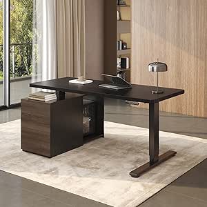 FLEXISPOT 55