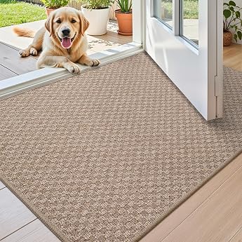 COLOR&GEOMETRY Door Mat Indoor 60 x 90 cm Dirt Trapper Mat Large Indoor Floor Mats Front Door Washable Quick Drying Doormat Thin Door Mat Door Mat Entrance Rug Non-Slip Beige