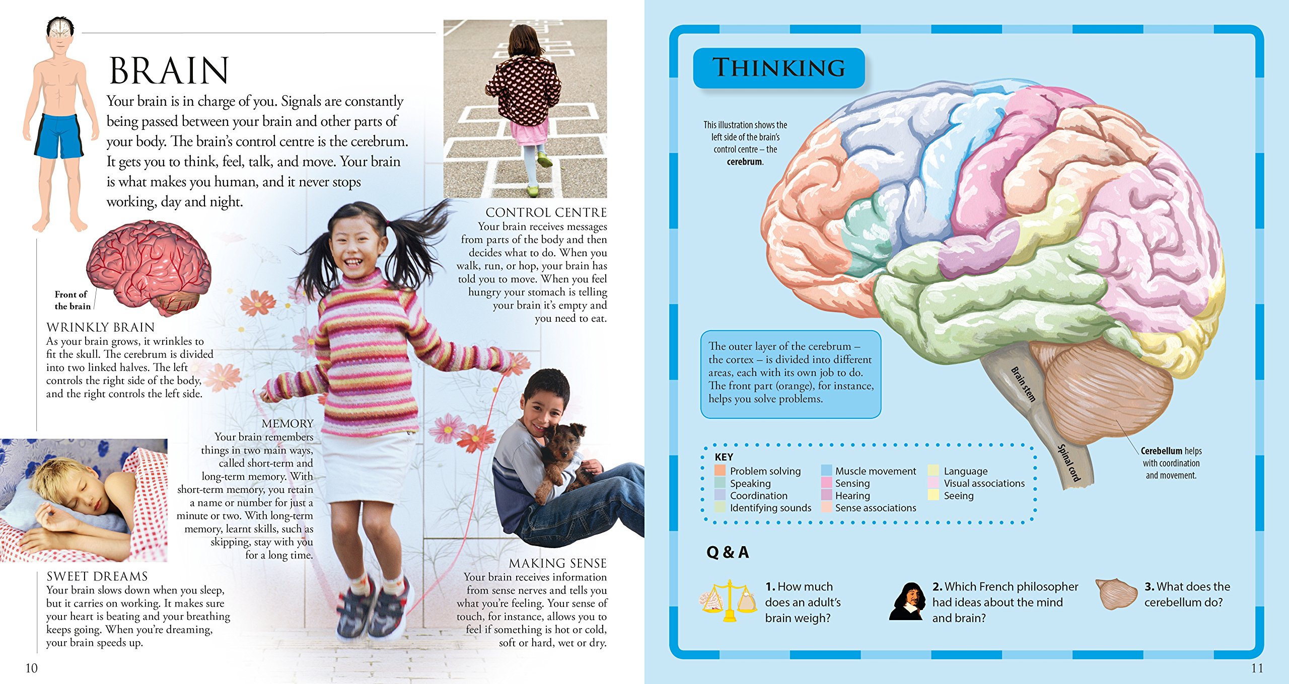 The Pop-up, Pull-out Human Body: Amazing Pop-up Skeleton and Pull-out Pages!