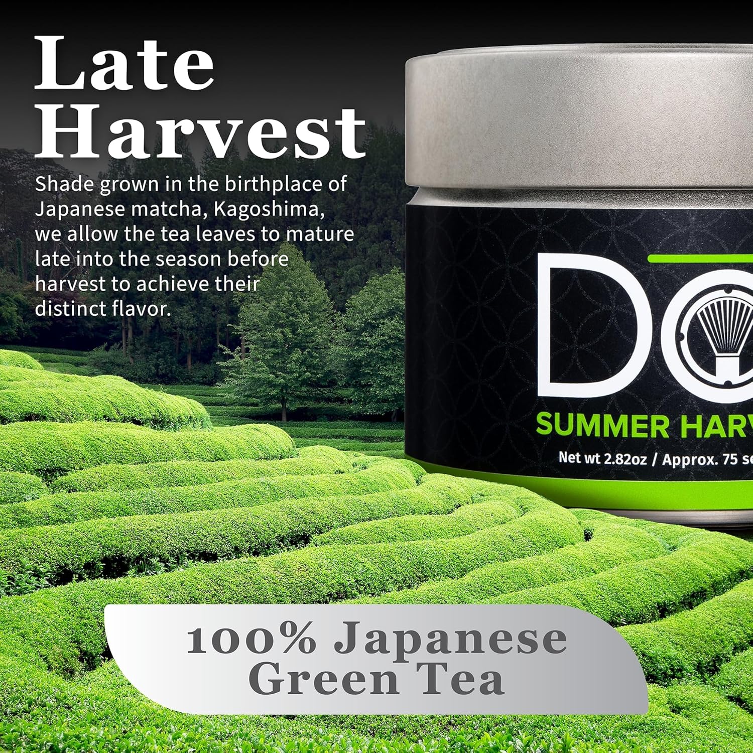 DoMatcha - Summer Harvest Green Tea Matcha Powder, Natural Source of Antioxidants, Caffeine, and L-Theanine, Promotes Focus and Relaxation, Kosher, 75 Servings (2.82 oz)