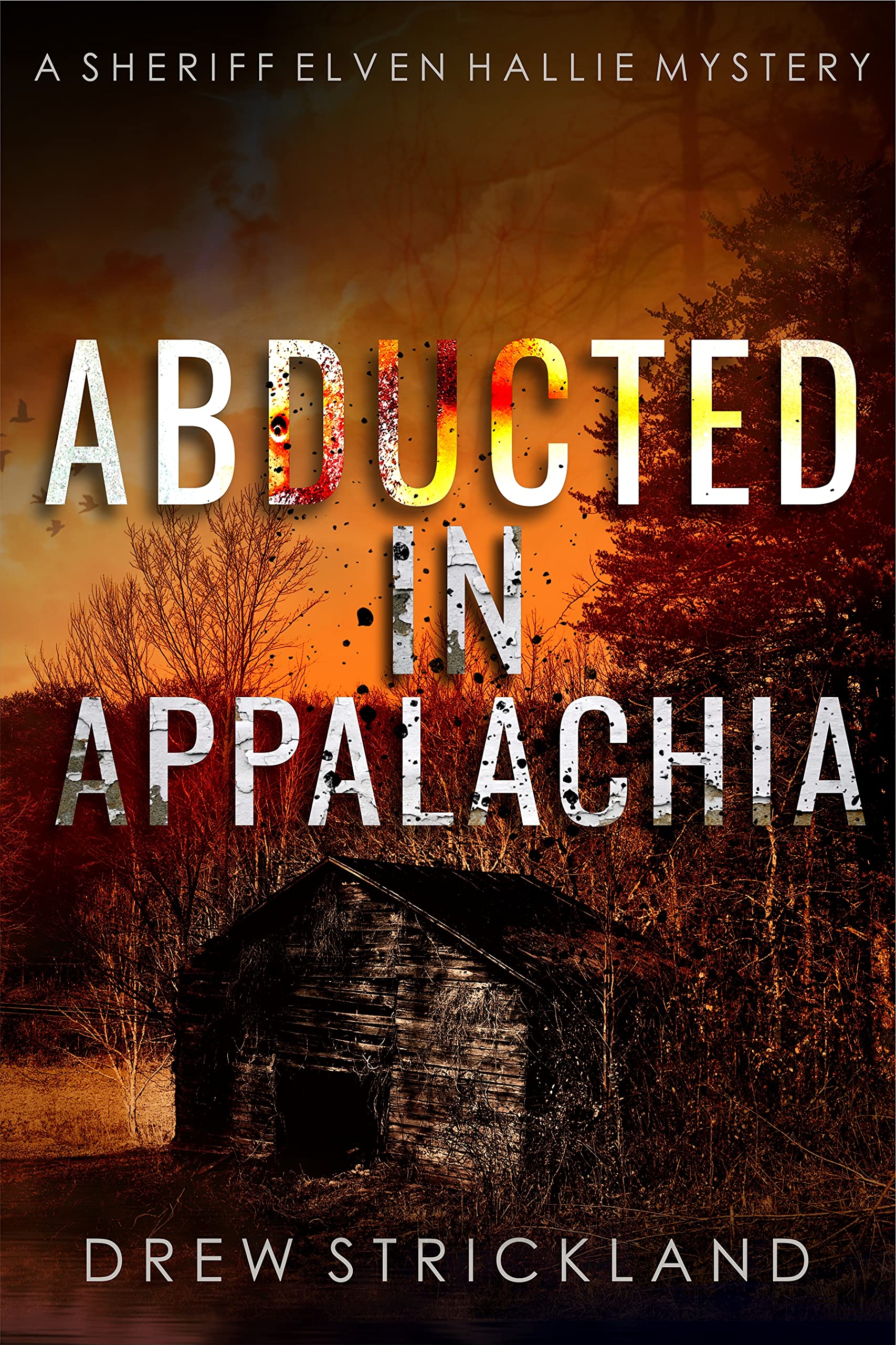 Abducted in Appalachia: A gripping murder mystery crime thriller (A Sheriff Elven Hallie Mystery Book 4)