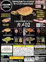 Amazon | いきもの大図鑑アドバンス カメ02 [全4種セット