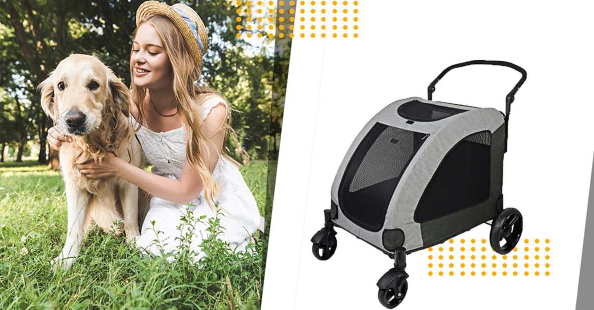 Watch Totoro ball 4 Wheels Jogger Dog Stroller on Amazon Live
