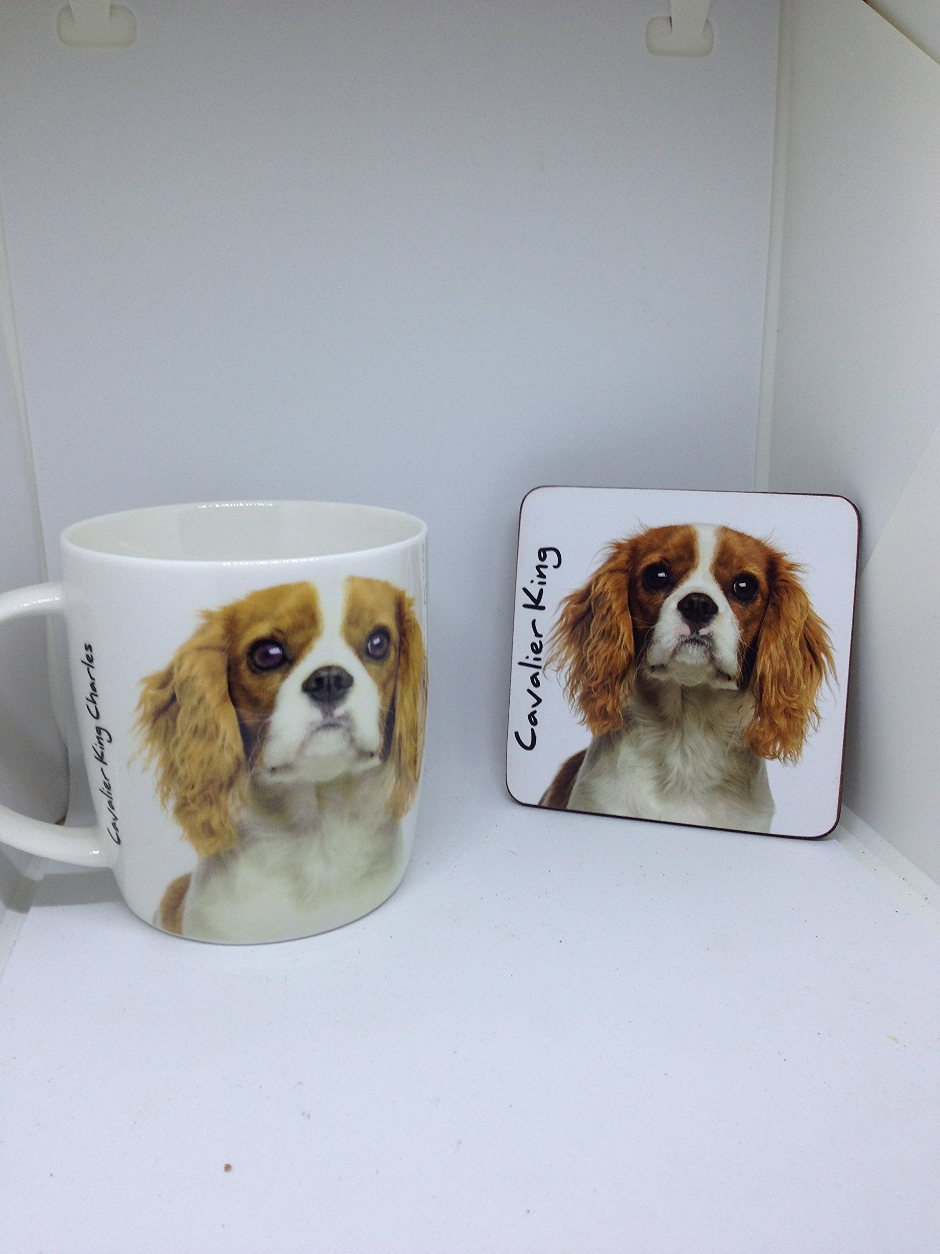 Royal County - Cavalier King Charles mug and coaster set - image of dog on both