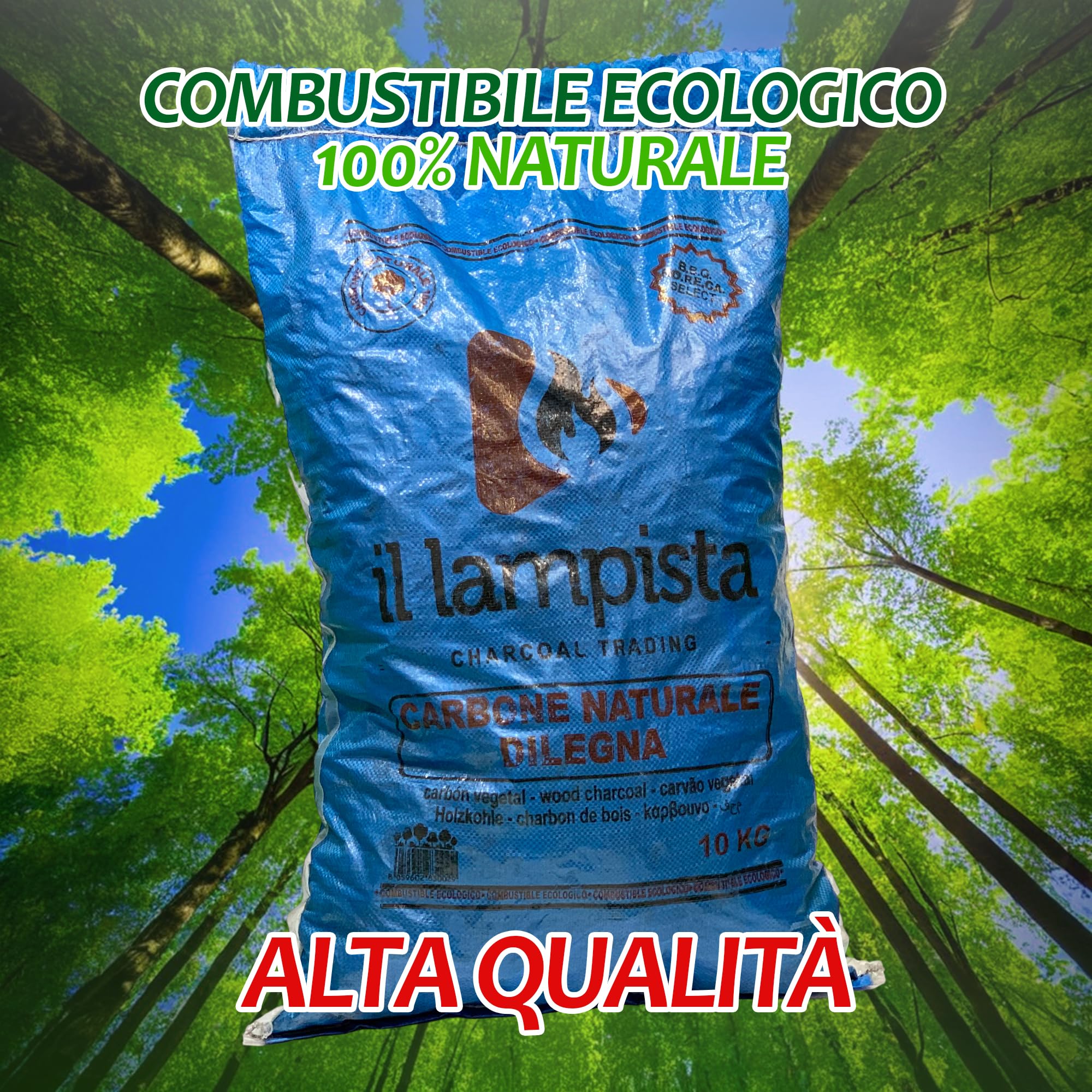 Sicignano Carbone di Legna Ecologico 10 kg ? Combustibile Naturale al 100% a Lunga Durata per Barbecue, Alta Efficienza e Basso Impatto Ambientale