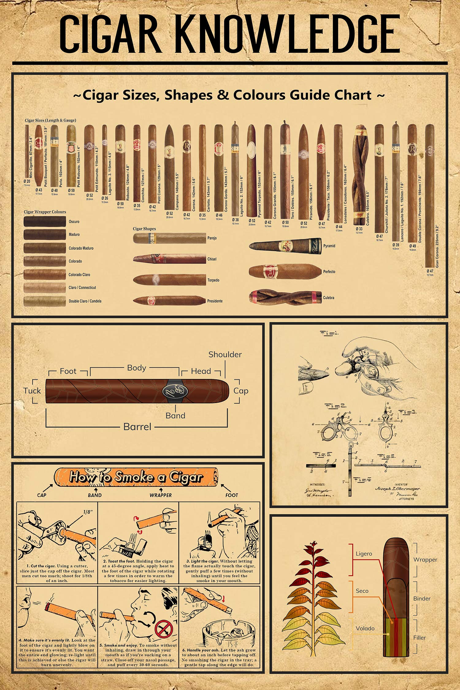 Buy Cigar Knowledge Cigar Size Shape Colours Size Chart Online at