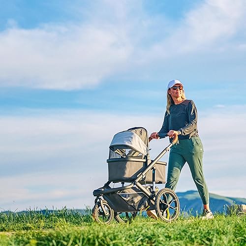 Miniatura 2 de Veer Moisés Switchback | para usar marcos Roll &Jog