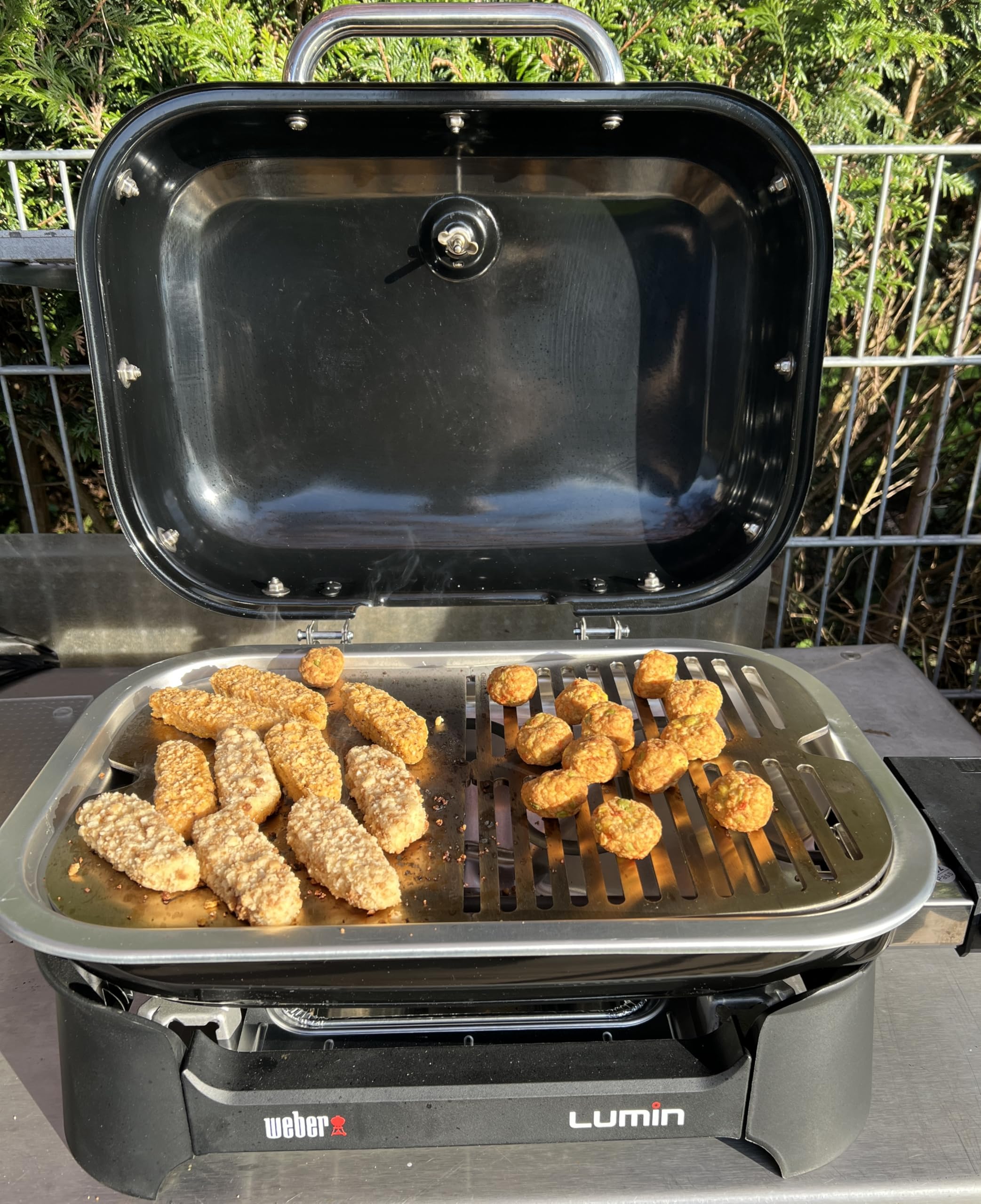 Ruszt do grillowania ze stali nierdzewnej V2A 1.4301 ruszt zastępczy pasuje do grilla Weber Lumin COMPACT