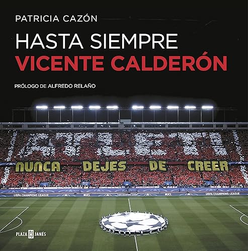 Hasta siempre, Vicente Calderón (Obras diversas)