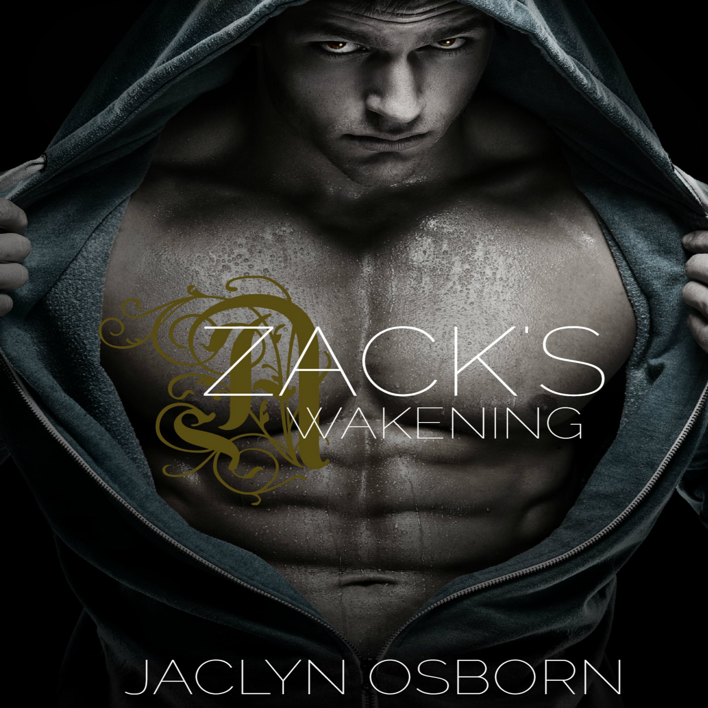 Cover art for Zack's Awakening