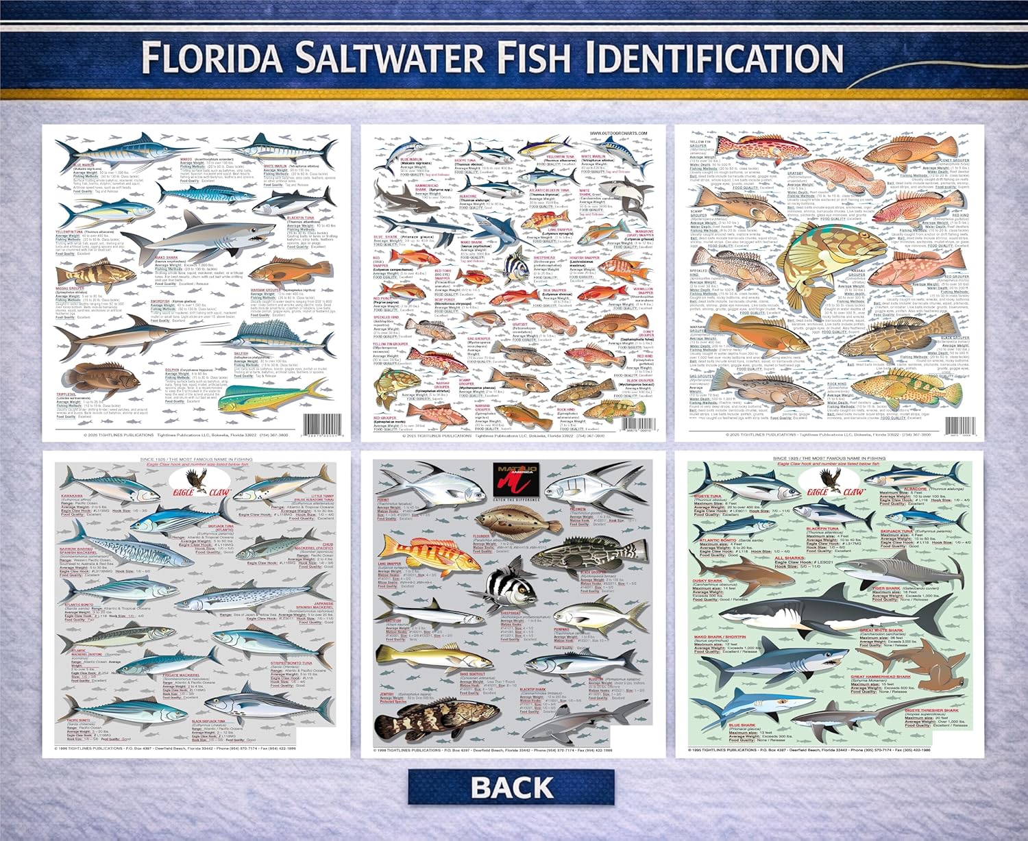 Florida Saltwater Fish Identification Chart Set - Waterproof Quick Reference Fishing Guides - 80+ Species ID - Double-Sided & Easy to Read - Great Gift for Beginners