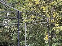 Review Image by shawna smith shawna smith