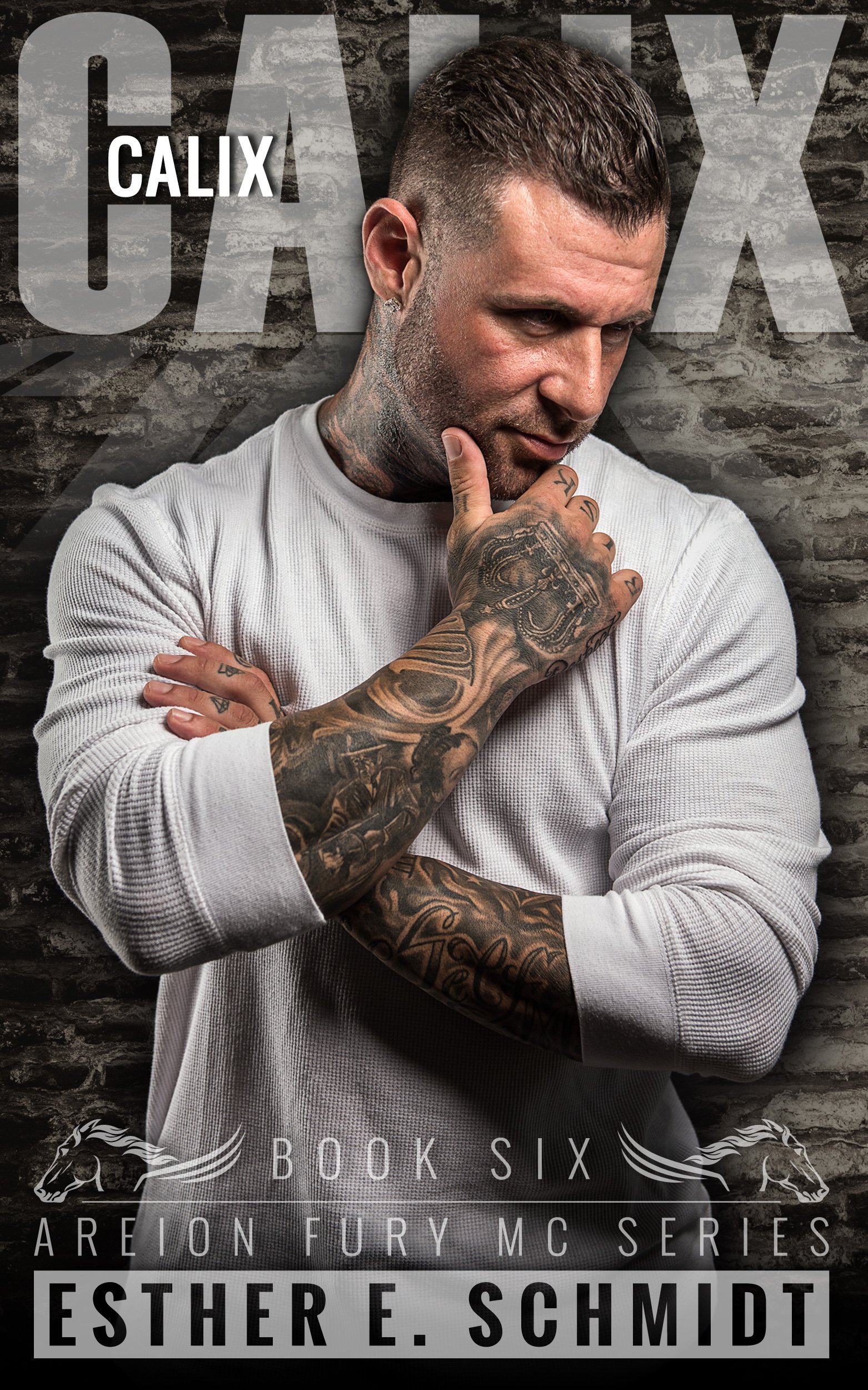 Calix: Areion Fury MC