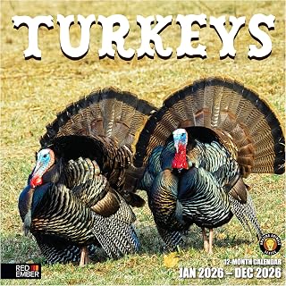 RED EMBER Turkeys 2026 Wall Calendar 12 Month | 12" x 24" Open | Thick & Sturdy Paper | Holiday Gift | Animal Calendar 2026