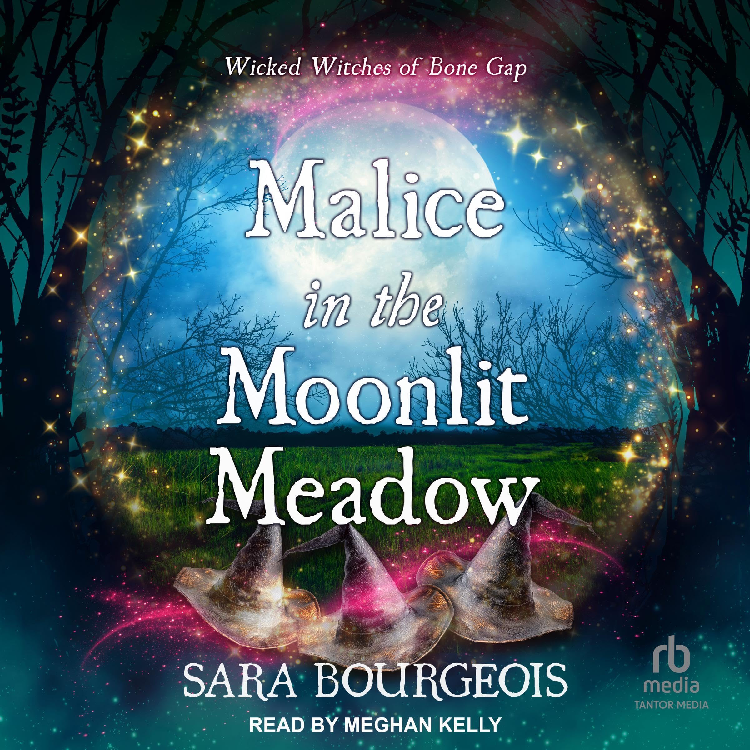 Cover art for Malice in the Moonlit Meadow