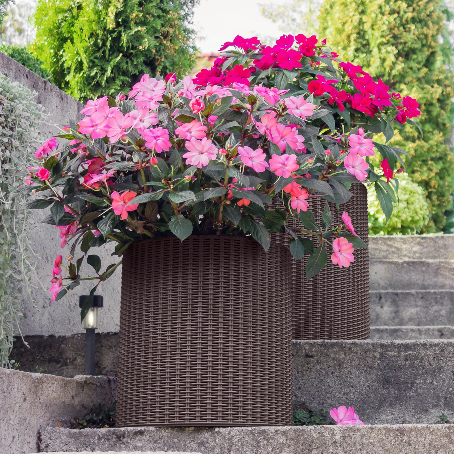 Keter- Maceta Grande ratán, Base Redonda; 100% Material Reciclado; 44 x 44 x 44 cm ; Capacidad 39 L; Color Marrón Chocolate
