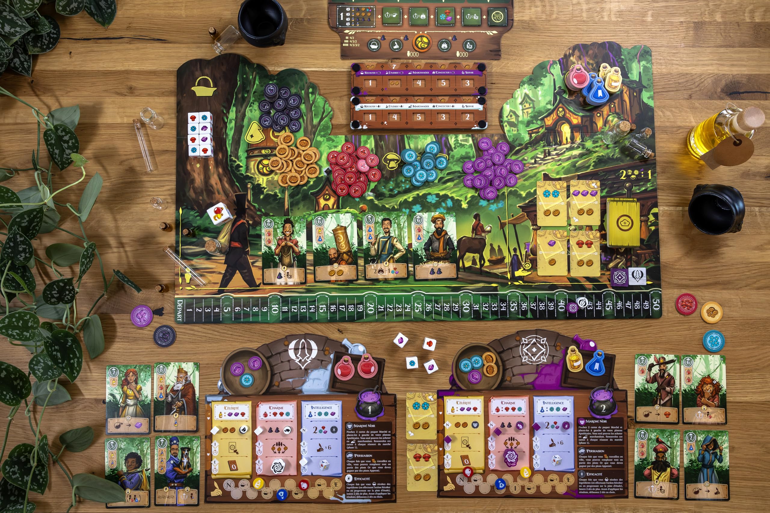 Lucky Duck Games | LES POTIONS D’AZERLANDE | Jeu de Société Stratégique Fantasy pour Adultes dès 14 ans | Festival des Potions |1 à 4 Joueurs | 90 Min | Gestion,Combinaisons, Alchimie | En Français