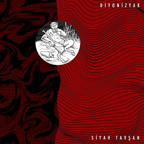 adam oldu by siyah tavsan on amazon