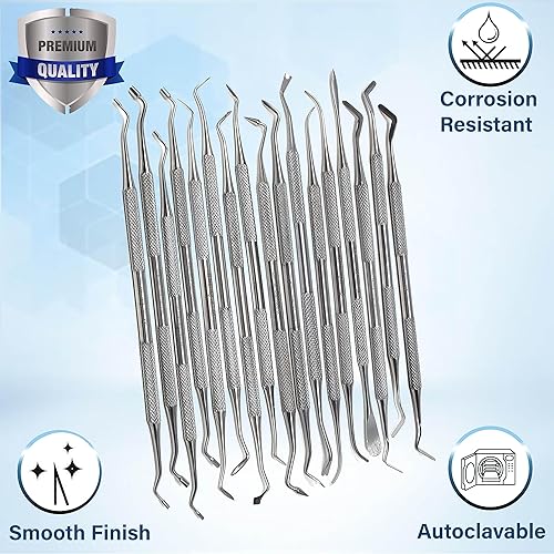 Miniatura 2 de Herramientas dentales profesionales, púas dentales, cuidado bucal, kit de higiene de acero inoxidable con raspador de dientes, pinzas para sarro,