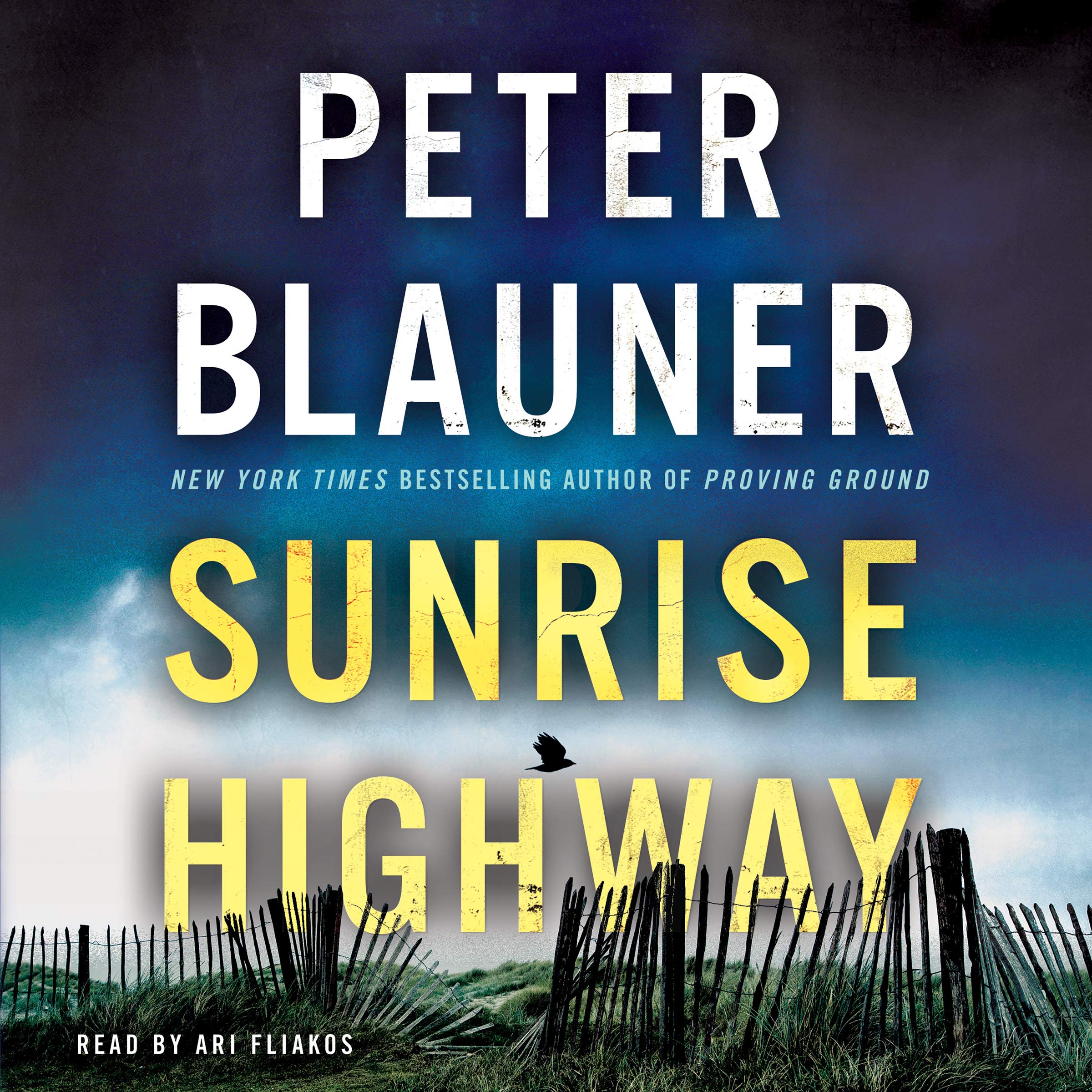 Cover art for Sunrise Highway