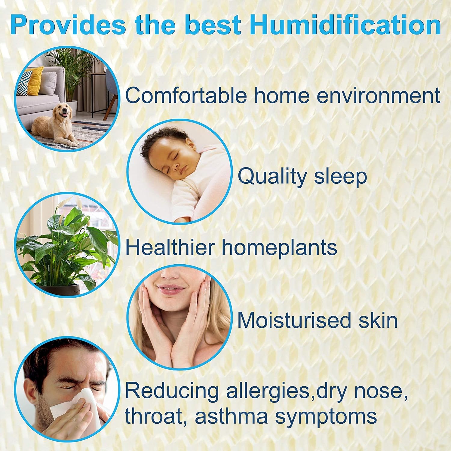 HQRP 2-Pack Humidifier Wick Filter Compatible with Sears Kenmore 14803, 14804, 14103, 14104, 14113, 14114, 14121, 14122 Humidifiers