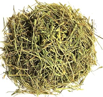 Anise Herbal Infusion Tea Anis Value Pack 90g herb 100% Natural Dried Herb
