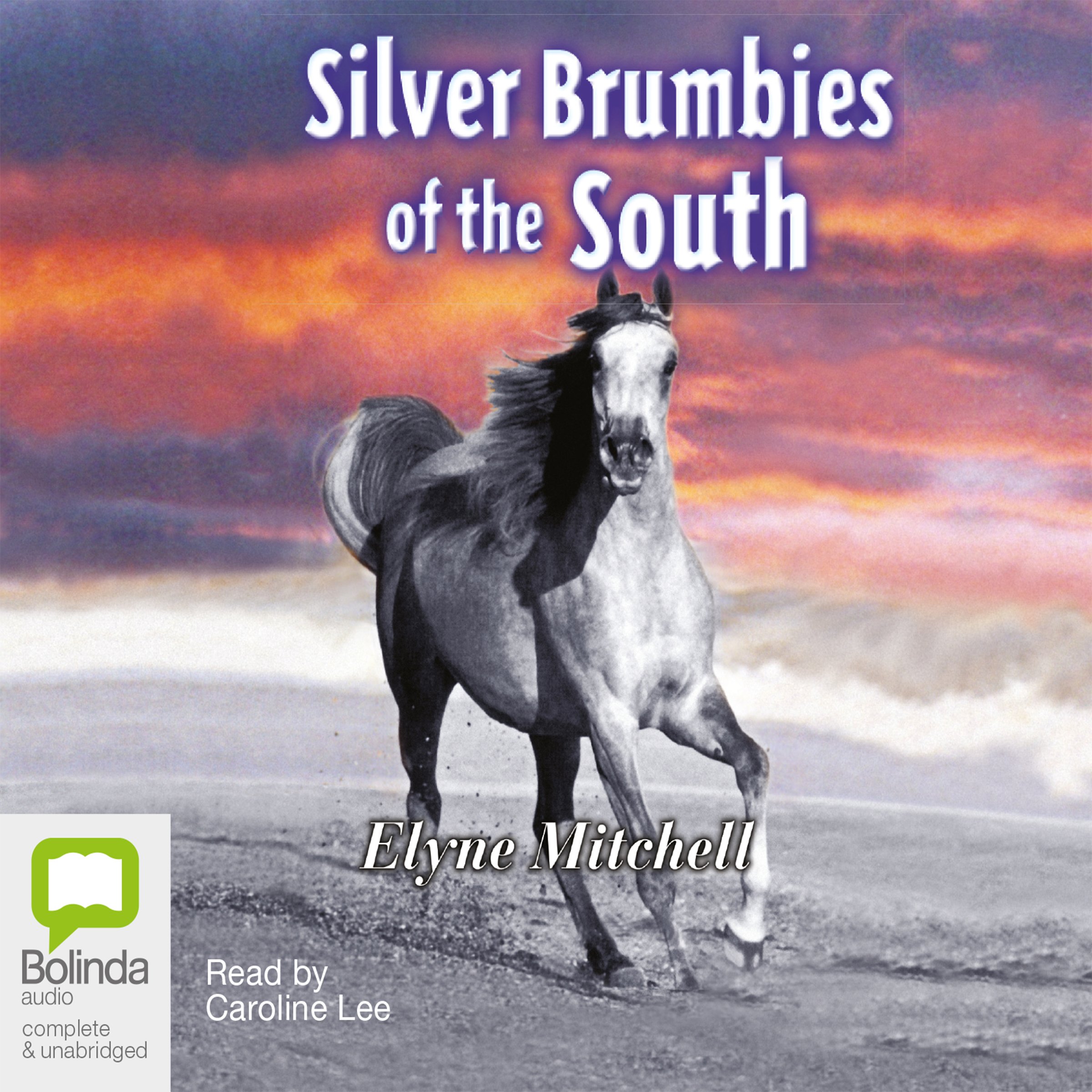 Cover art for Silver Brumbies of the South