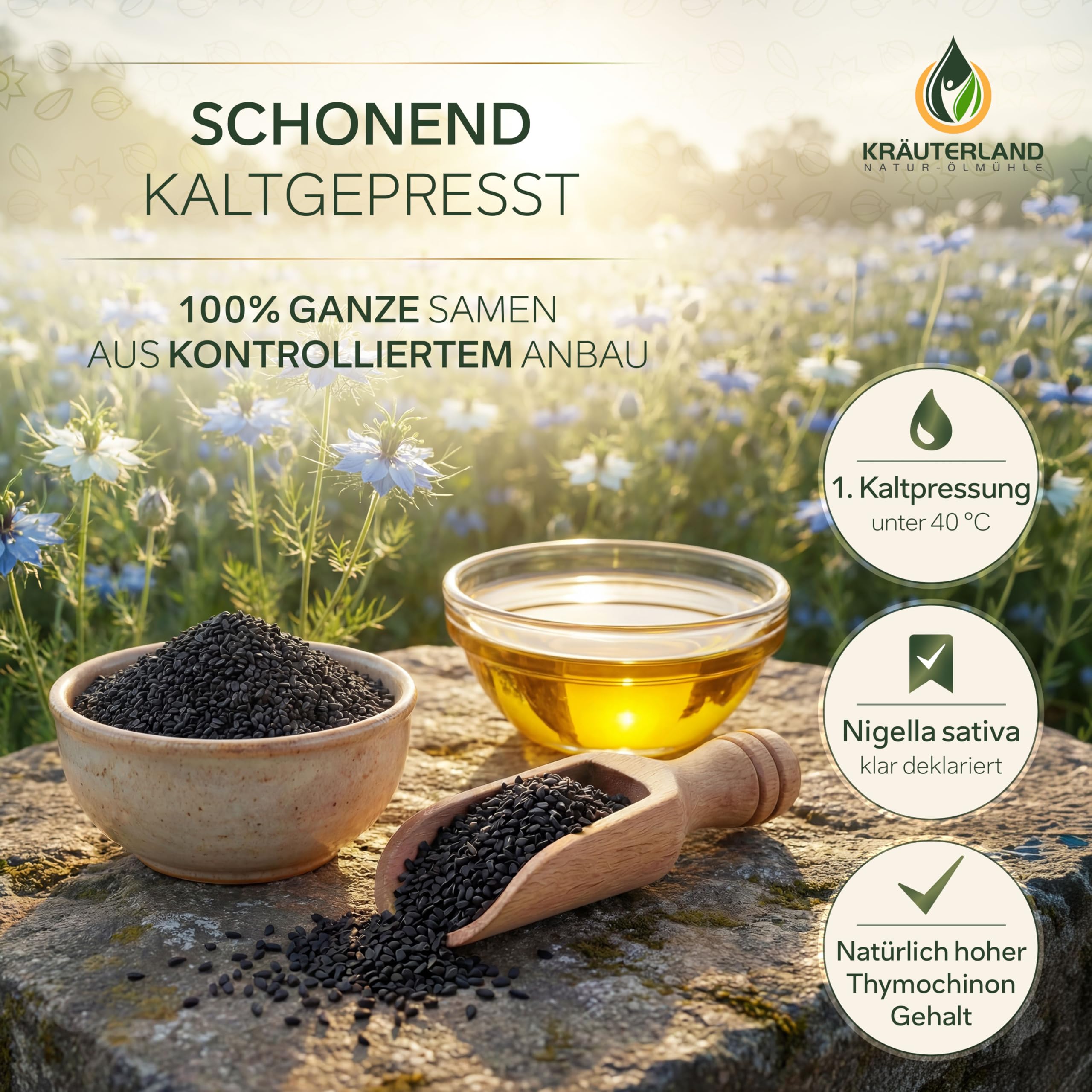 Kräuterland Schwarzkümmelöl 2X500ml (1Liter), gefiltert, naturrein ohne Zusatzstoffe, hoher Thymochinon, kaltgepresst, vegan, mild, glasflasche, mühlenfrisch direkt aus unsrer hessischen Ölmühle
