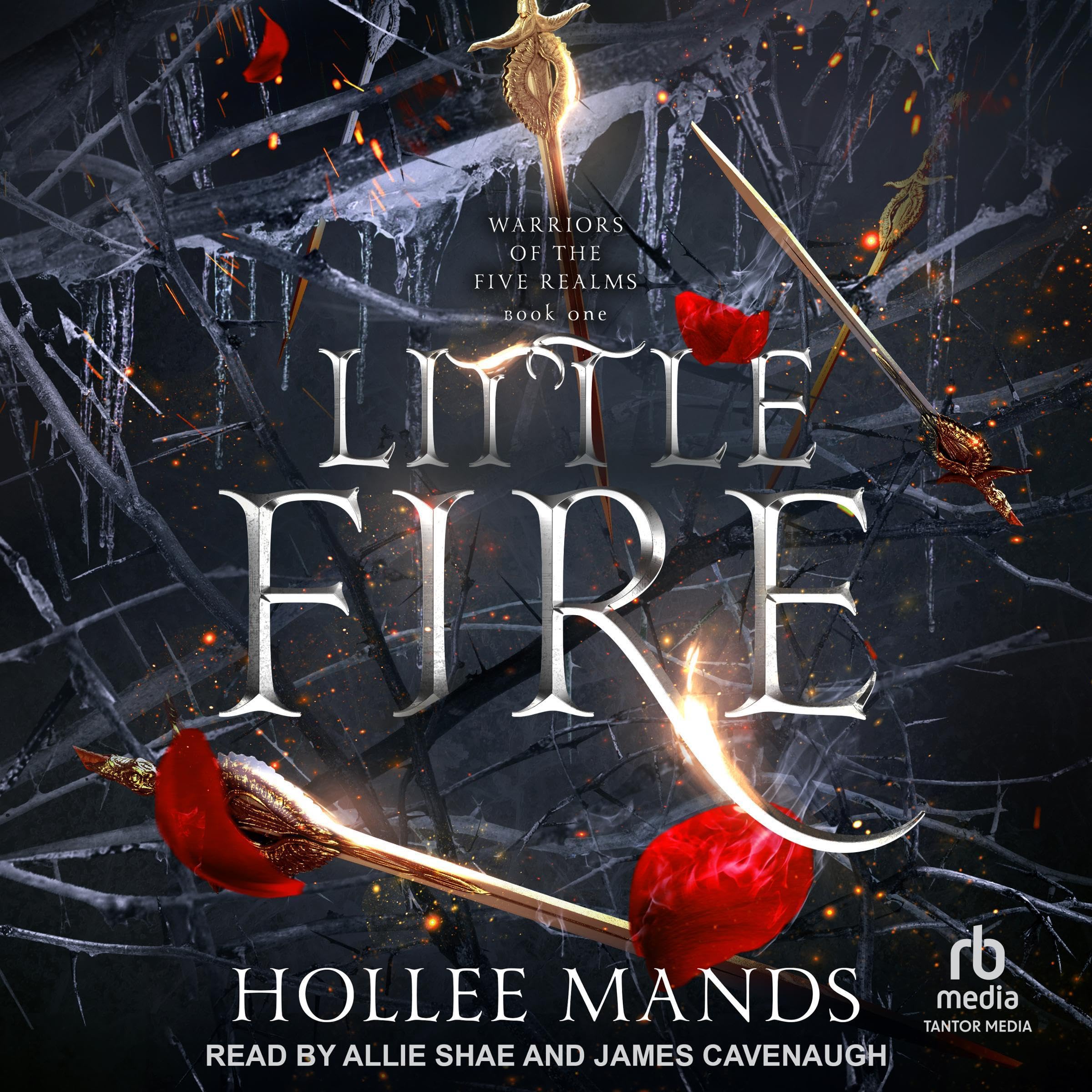 Cover art for Little Fire