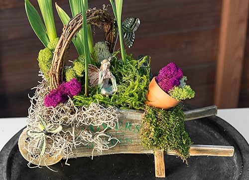 Miniatura 10 de Mezcla de musgos conservados de la marca SuperMoss 0